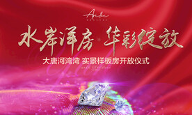 样板间绽放
