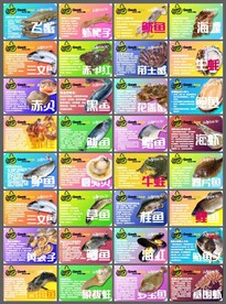 海鲜百科海报展架