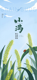 小满节气