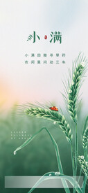 小满