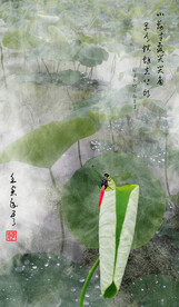 荷塘