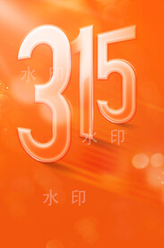 315海报