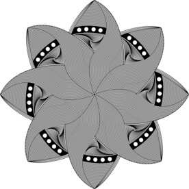 花纹