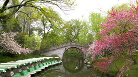 桃花映小桥