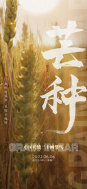 芒种节气海报