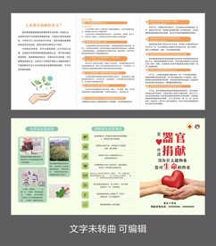 红十字 三折页