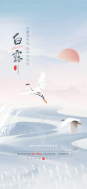白露