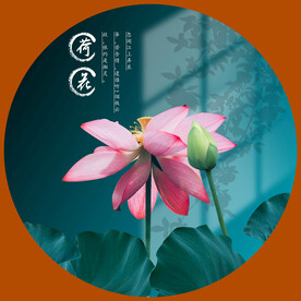 荷花