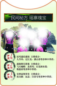 中医头疗
