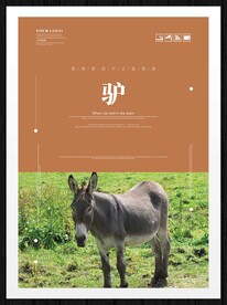 驴