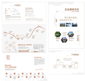 发展历程