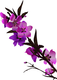 桃花