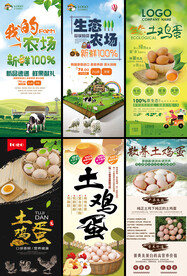 土鸡蛋展架