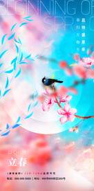 立春花鸟插画地产海报
