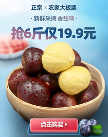 板栗促销海报