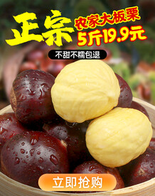 板栗电商海报