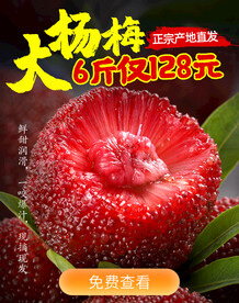 杨梅电商海报