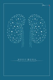 肾
