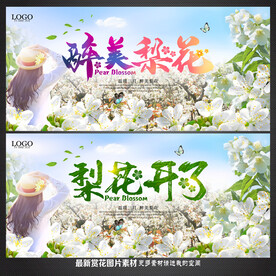 梨花节