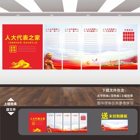 人大党代表展板文化墙