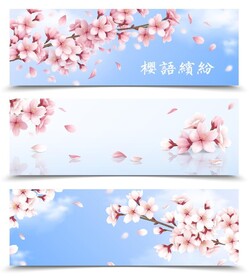 落英缤纷花瓣