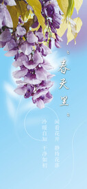 春天 紫滕花