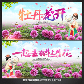 牡丹花