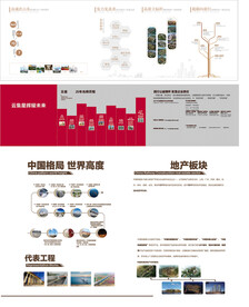 企业发展历程
