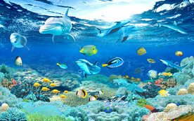 海底世界水下风景海豚背景墙