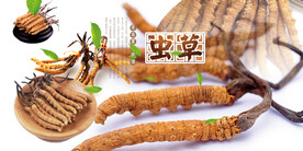 冬虫夏草