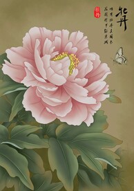 牡丹 工笔画