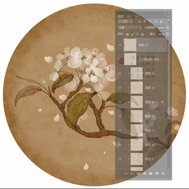 梨花 手绘