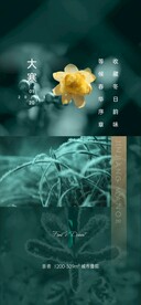 大寒节气海报