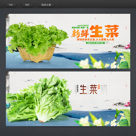 生菜