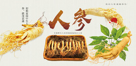 人参