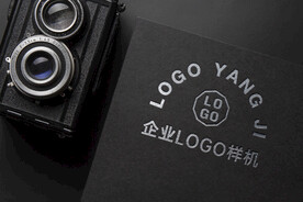  logo样机    