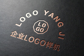  logo样机