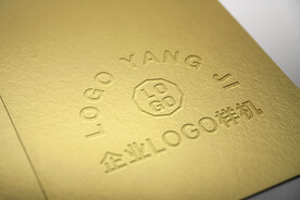  logo样机 