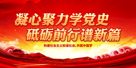 凝心聚力学党史 砥砺前行谱新篇