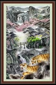 老虎图片 