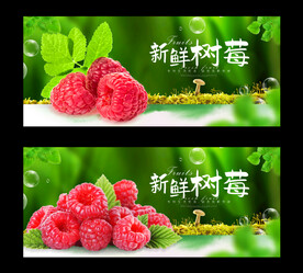 树莓