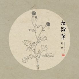 手绘线描一点红 