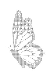 蝴蝶冲孔图案