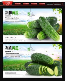 黄瓜