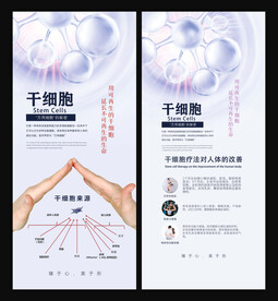 干细胞
