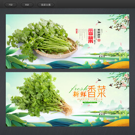 香菜