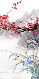 新传 新品爆款玄关 TIf分层