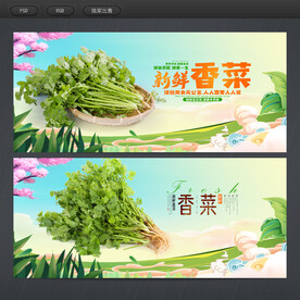 香菜