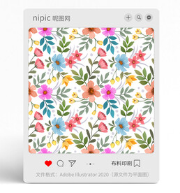 花朵花卉花纹