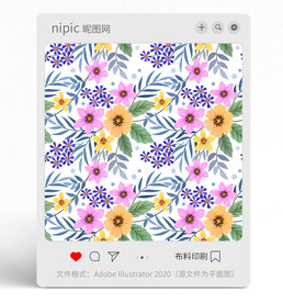 花朵花卉花纹